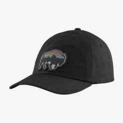 Patagonia Back For Good Trad Cap