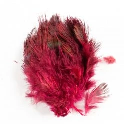 Nature's Spirit New Products Fish Hunter Strung Ringneck Rump Hackle