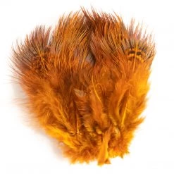 Nature's Spirit New Products Fish Hunter Strung Ringneck Rump Hackle