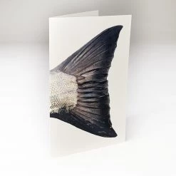 Ashland Fly Shop Fish Tail Card