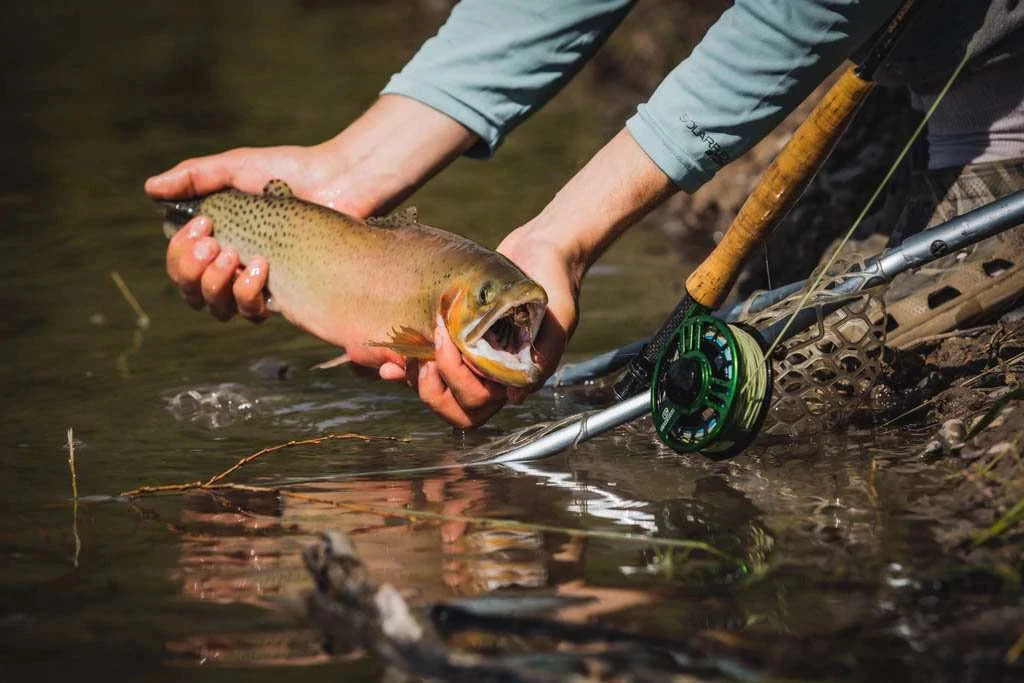 Cheeky Fly Reels Cheeky Launch Fly Reel 7 Cheeky Fly Reels Cheeky Launch Fly Reel